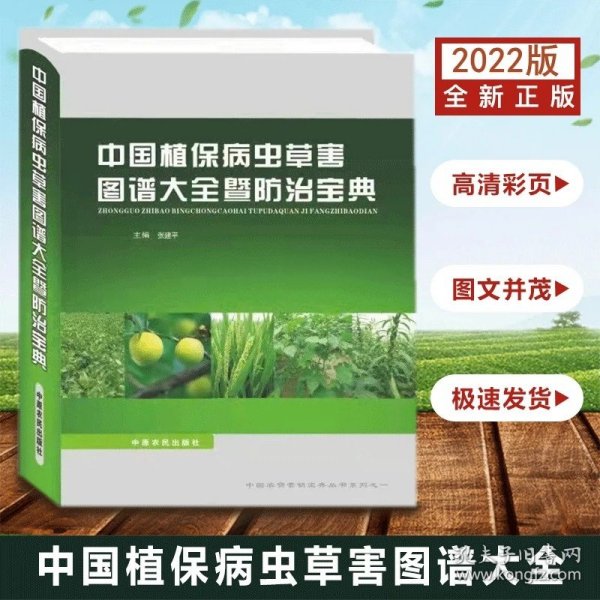 2021年广东省普通高校专插本考试专用教材·英语