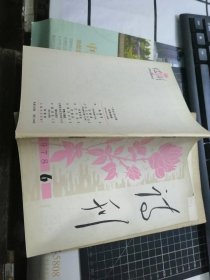 诗刊（1978年第6期