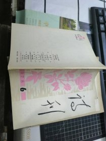 诗刊（1978年第6期）