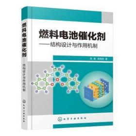 燃料电池催化剂——结构设计与作用机制