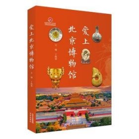 全新正版图书 爱上博物馆丁海秀北京出版社9787200184051