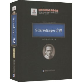 Schrodinger方程(精)/现代数学中的著名定理纵横谈丛书