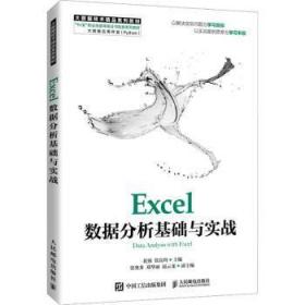 Excel数据分析基础与实战