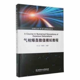 全新正版图书 气相爆轰数值模拟教程李健北京理工大学出版社有限责任公司9787576323092