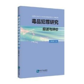 毒品犯罪研究综述与评价