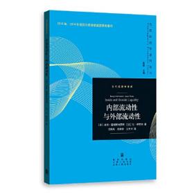 内部流动性与外部流动性(.当代经济学译库)