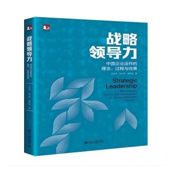 战略领导力：中国企业运作的理念、过程与效果