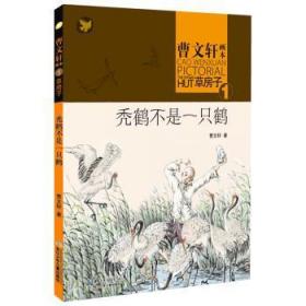 全新正版图书 秃鹤不是一只鹤-曹画本草房子-1曹湖北少年儿童出版社9787535399106 儿童文学长篇小说中国当代