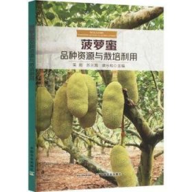 全新正版图书 菠萝蜜品种资源与栽培利用吴刚中国农业出版社9787109313347
