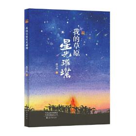 我的草原星光璀璨