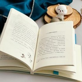 全新正版图书 雕刻时光的小勺猫匙河华东师范大学出版社9787576035162
