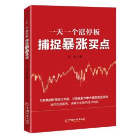 一天一个涨停板：捕捉暴涨买点 定价58元 9787513668361