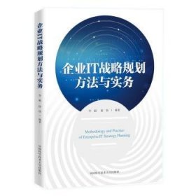 全新正版图书 企业IT战略规划方法与实务李娟中国科学技术大学出版社9787312055003