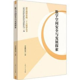 全新正版图书 数字空间与发展探索王宝珠上海人民出版社9787208185890