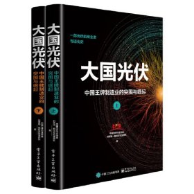 大国光伏：中国王牌制造业的突围与崛起（上、下）