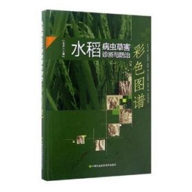 全新正版图书 水稻病虫草害诊断与彩色图谱王玉山中国农业科学技术出版社9787511628572 水稻病虫害图集