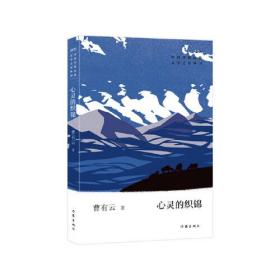 中国少数民族文学之星丛书·2022年卷：心灵的织锦