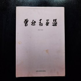 曾迎春画集