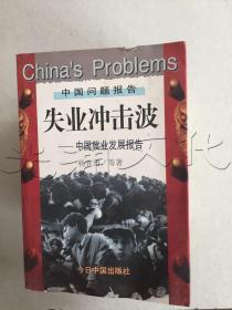 失业冲击波:中国就业发展报告