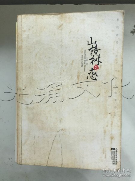 山楂树之恋长篇小说