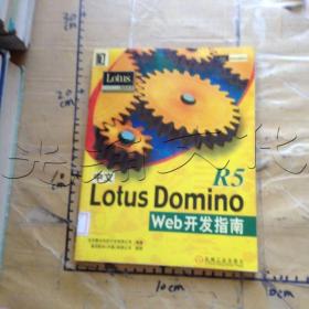 中文 Lotus Domino R5 Web 开发指南