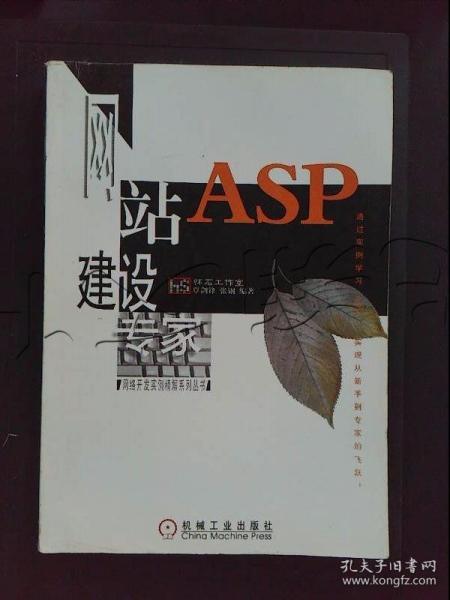 ASP网站建设专家