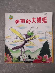 美丽的大蜻蜓