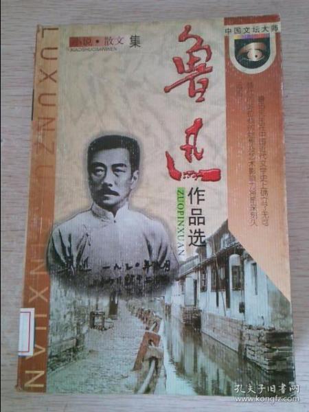 鲁迅作品选：小说·散文集 论文·杂文集