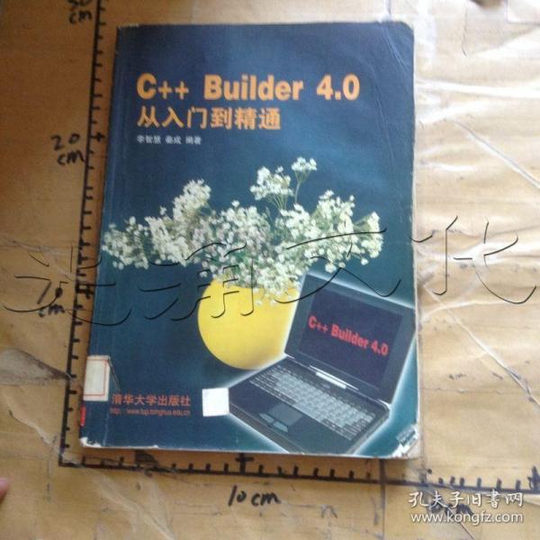 C++Builder 4.0从入门到精通