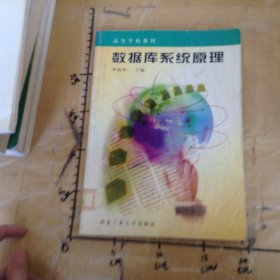 數(shù)據(jù)庫系統(tǒng)原理