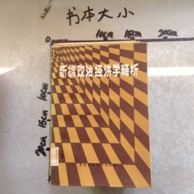 新編政治經(jīng)濟(jì)學(xué)釋析