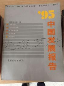 95中国发展报告