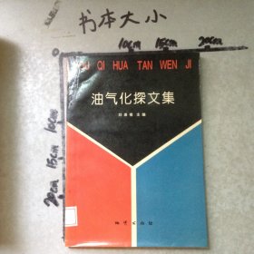 油氣化探文集