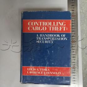 CONTROLLING CARCO THEFT