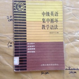 中级英语集中循环教学语法
