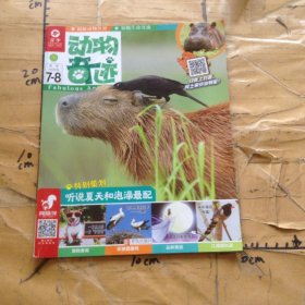 动物奇迹听说夏天和泡澡最配2019年7、8册