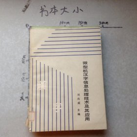微型機(jī)漢字信息處理技術(shù)及其應(yīng)用