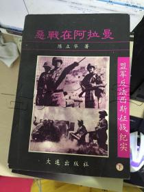 盟军反法西斯征战纪实下册