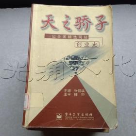 天之骄子记全国精选网站创业史