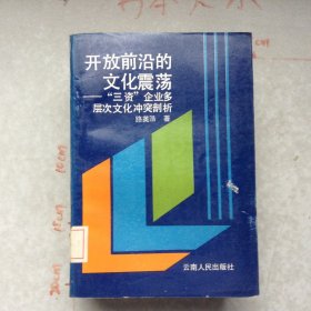 開放前沿的文化震蕩“三資”企業(yè)多層次文化沖突剖析