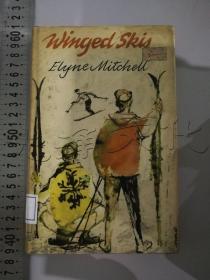 WINGED SKIS