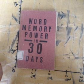 WORD MEMORY POWER IN 30 DAYS