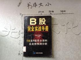 B股完全实战手册