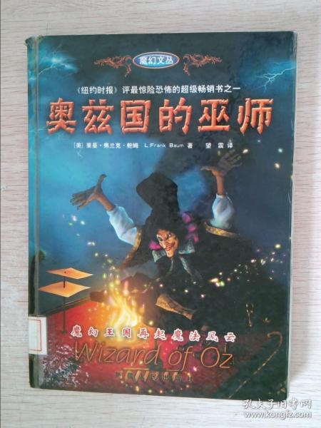 着了魔的城堡：the enchanted castle