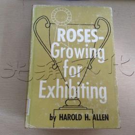Roses--Growing for Exhibiting
