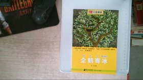 企鹅寄冰