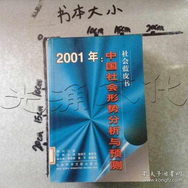 2001年:中国社会形势分析与预测