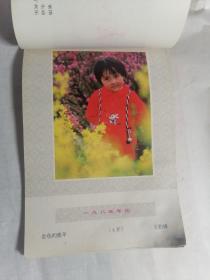 江苏年画缩样 1985年 年历