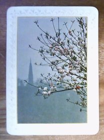 年历卡：风景.背面年历卡.1983年.共1张