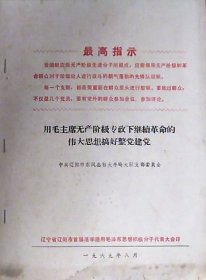 用毛主席无产阶级专政下继续革命的伟大思想搞好整党建党（16开）